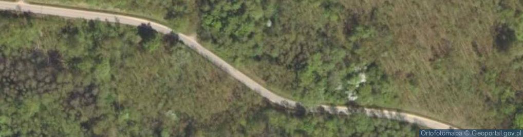 Zdjęcie satelitarne Wilki (województwo warmińsko-mazurskie)
