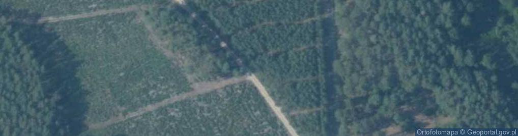 Zdjęcie satelitarne Winnogóra