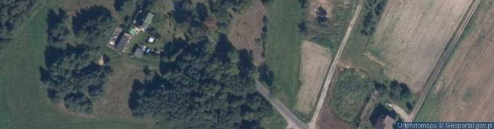 Zdjęcie satelitarne Wiszary