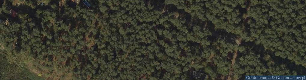 Zdjęcie satelitarne Wójtowskie