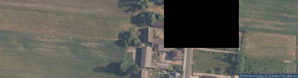 Zdjęcie satelitarne Woźniki (powiat piotrkowski)