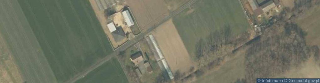 Zdjęcie satelitarne Wroniawy (województwo łódzkie)