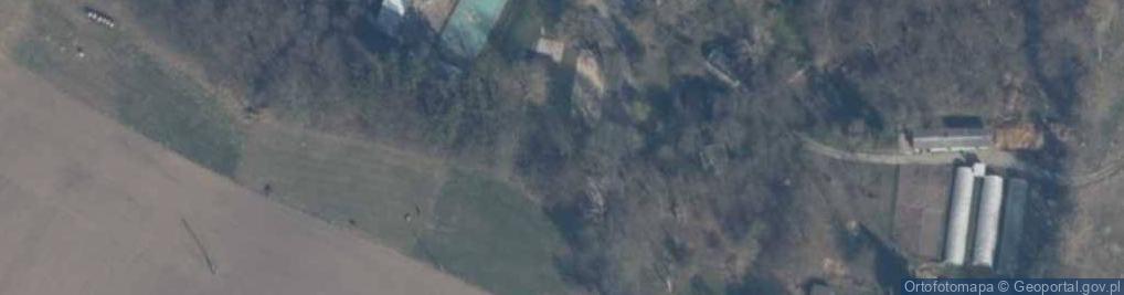 Zdjęcie satelitarne Wszemierzyce