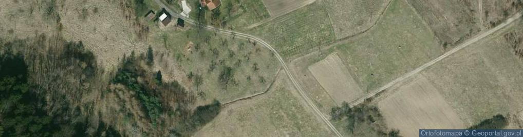 Zdjęcie satelitarne Wyręby (województwo podkarpackie)