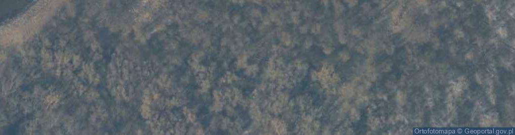 Zdjęcie satelitarne Wyspa Chrząszczewska