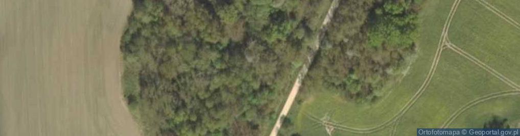 Zdjęcie satelitarne Wyszkowo (wieś)