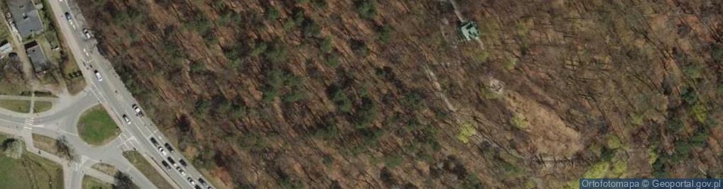 Zdjęcie satelitarne Wzgórze Pachołek