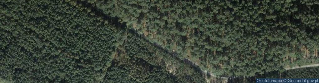Zdjęcie satelitarne Zabłocie (powiat toruński)