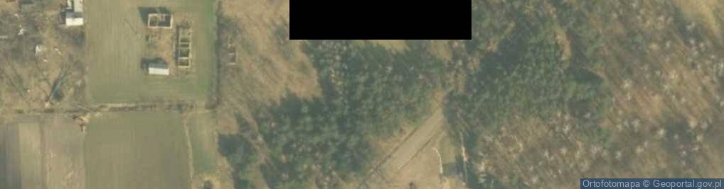 Zdjęcie satelitarne Zaborów (gmina Uniejów)