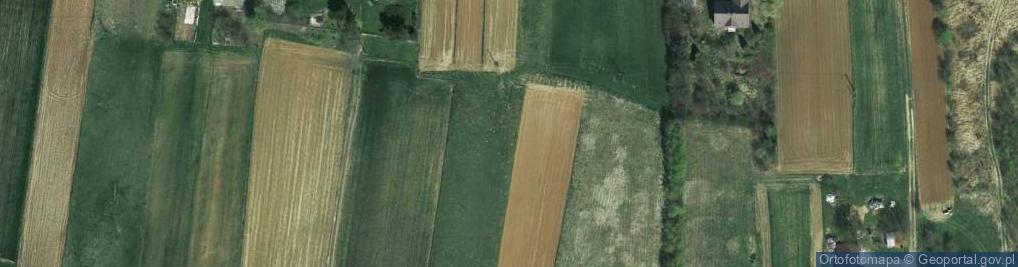 Zdjęcie satelitarne Zadział (powiat wadowicki)