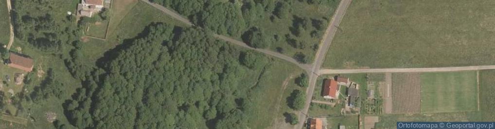 Zdjęcie satelitarne Zagajnik (województwo dolnośląskie)