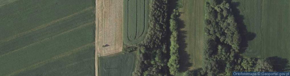 Zdjęcie satelitarne Zakłodzie (województwo lubelskie)