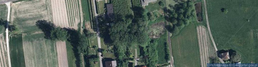 Zdjęcie satelitarne Zalesie-Kolonia (województwo lubelskie)