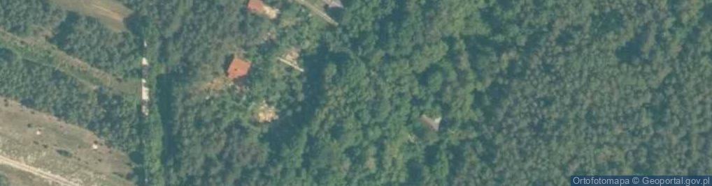 Zdjęcie satelitarne Zalesie (powiat jędrzejowski)
