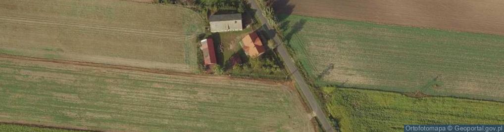 Zdjęcie satelitarne Zalesie (powiat kolski)