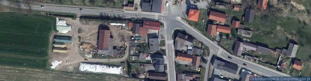 Zdjęcie satelitarne Zalesie Śląskie