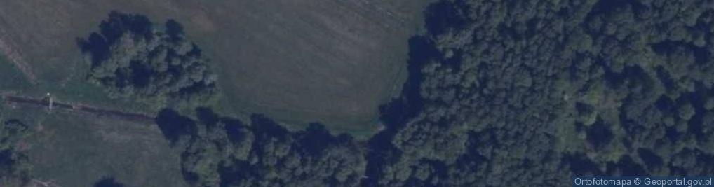 Zdjęcie satelitarne Zamęcie (gmina Borne Sulinowo)