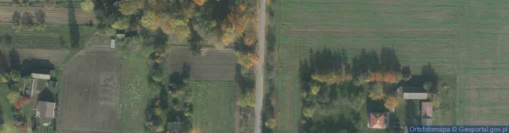 Zdjęcie satelitarne Zamieście (województwo lubelskie)