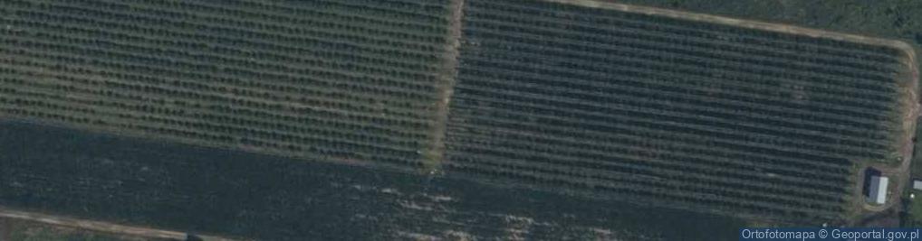 Zdjęcie satelitarne Żanecin