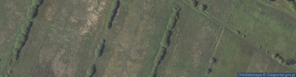 Zdjęcie satelitarne Zarudzie (województwo lubelskie)