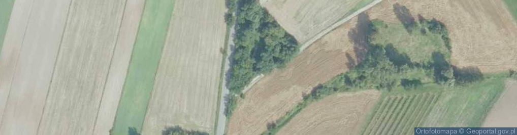 Zdjęcie satelitarne Zawada (powiat opatowski)