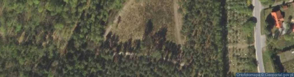 Zdjęcie satelitarne Zazdrość (gmina Stawiguda)