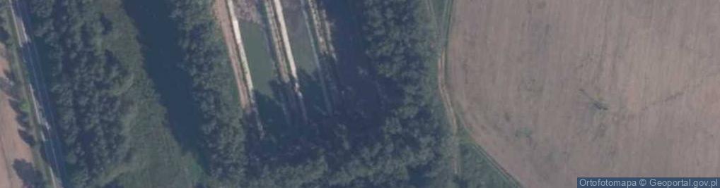 Zdjęcie satelitarne Zielin Górny
