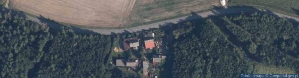 Zdjęcie satelitarne Zielona Góra (województwo wielkopolskie)