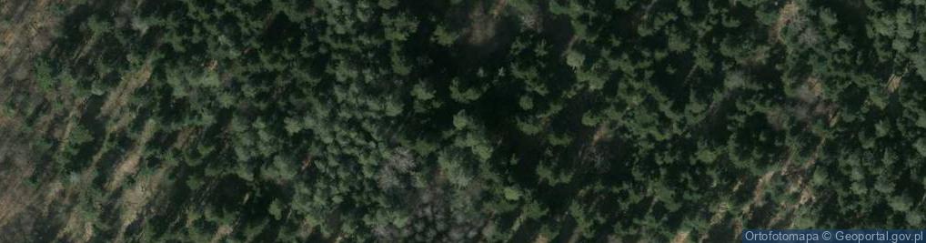 Zdjęcie satelitarne Żohatyn
