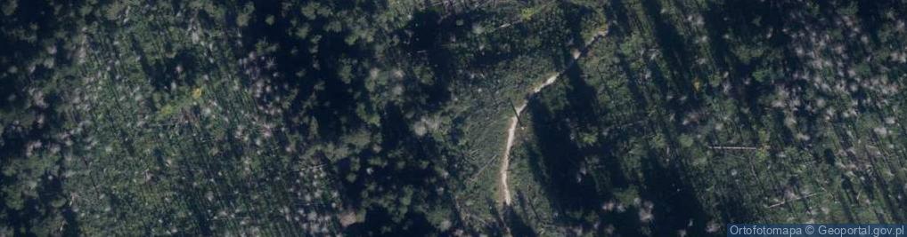 Zdjęcie satelitarne Jaskinia Mroźna