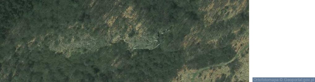 Zdjęcie satelitarne Jaskinia Przegińska