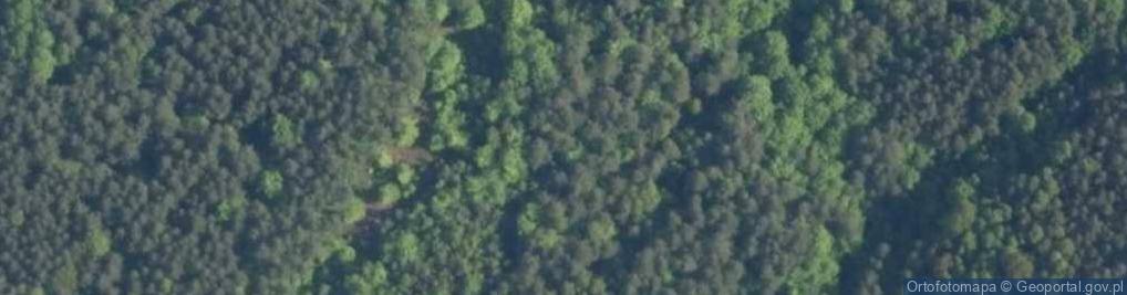 Zdjęcie satelitarne Jaskinia w Straszykowej Górze