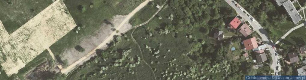Zdjęcie satelitarne Jaskinia Żydowska