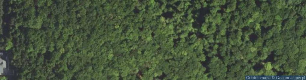 Zdjęcie satelitarne Wierna
