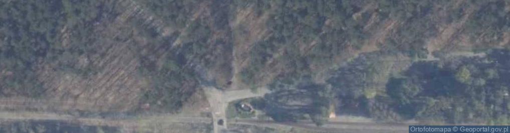 Zdjęcie satelitarne Czahary. Ośrodek jeździecki