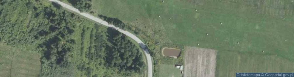 Zdjęcie satelitarne Biały krzyż kamienny