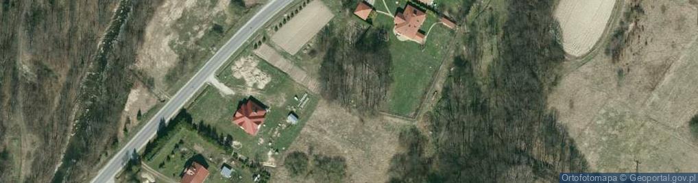Zdjęcie satelitarne Cerkwisko we wsi Deszno