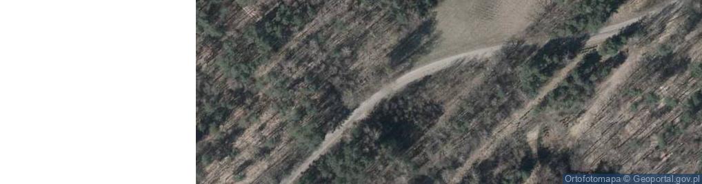 Zdjęcie satelitarne Drewniany Krzyż