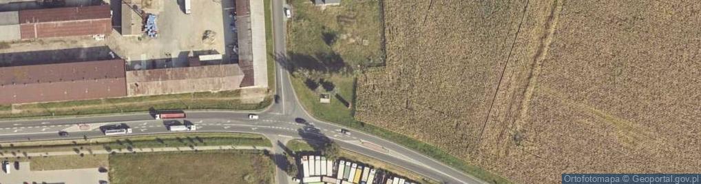 Zdjęcie satelitarne Drewniany krzyż
