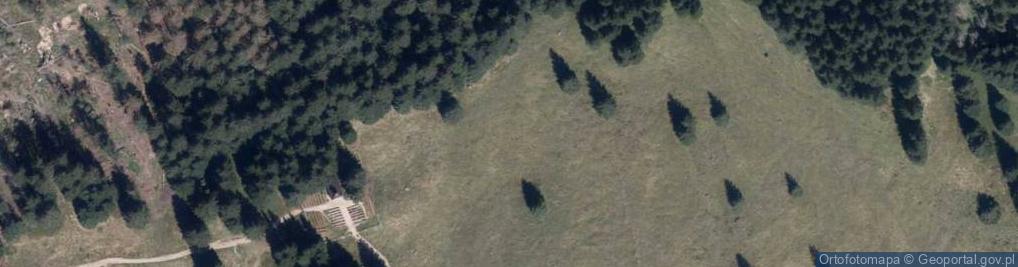 Zdjęcie satelitarne Drewniany krzyż