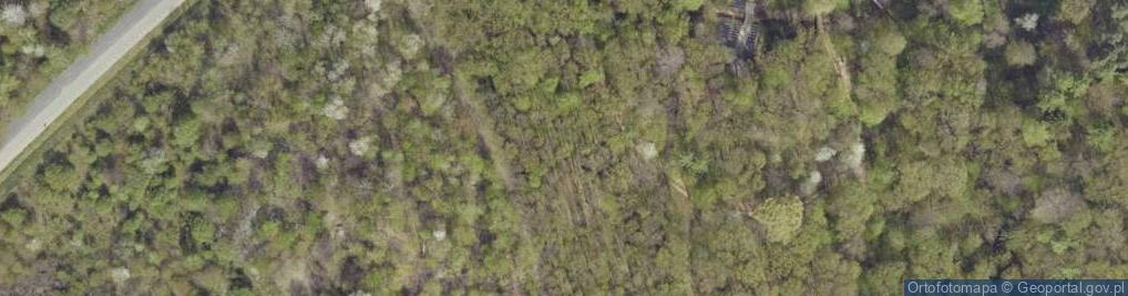 Zdjęcie satelitarne Droga Krzyżowa