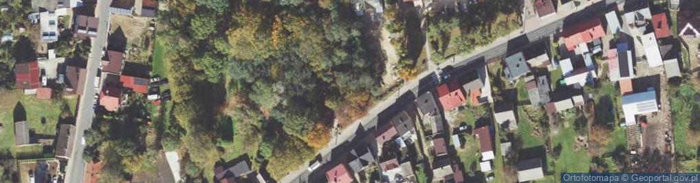 Zdjęcie satelitarne Figura Św.Rocha