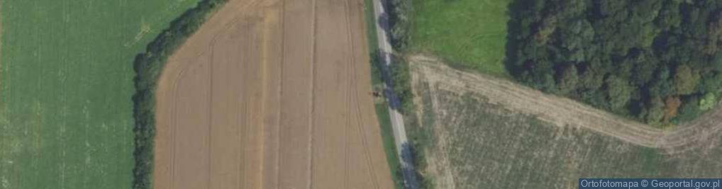 Zdjęcie satelitarne Figurka Matki Boskiej