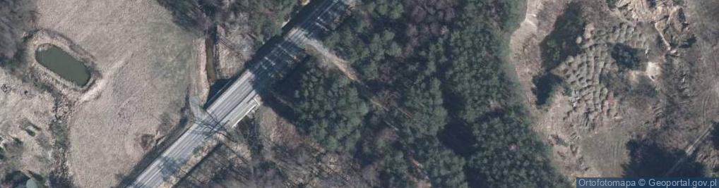 Zdjęcie satelitarne Figurka