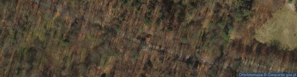 Zdjęcie satelitarne Kaplica Weroniki