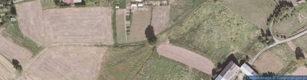 Zdjęcie satelitarne Kapliczka, Figura Świętych, Krzyż