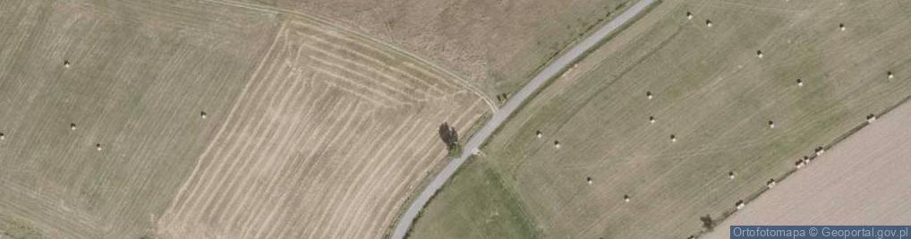 Zdjęcie satelitarne Kapliczka, Figura Świętych, Krzyż