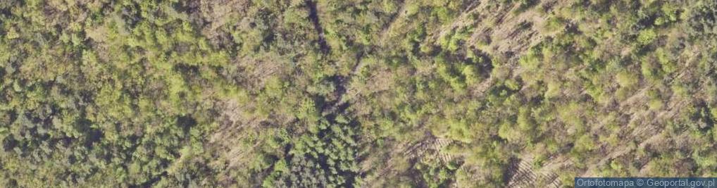 Zdjęcie satelitarne Kapliczka, Figura Świętych, Krzyż