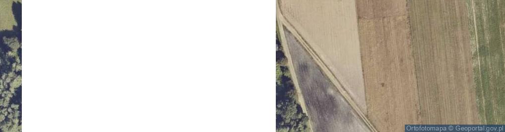 Zdjęcie satelitarne Kapliczka, Figura Świętych, Krzyż