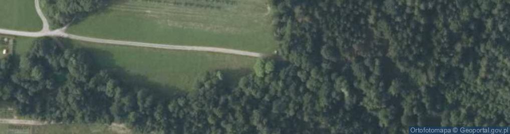 Zdjęcie satelitarne Kapliczka, Figura Świętych, Krzyż